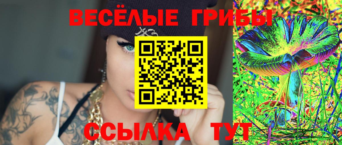 Псилоцибиновые грибы Cubensis  Вход с VPN  купить наркотик  Всеволожск 