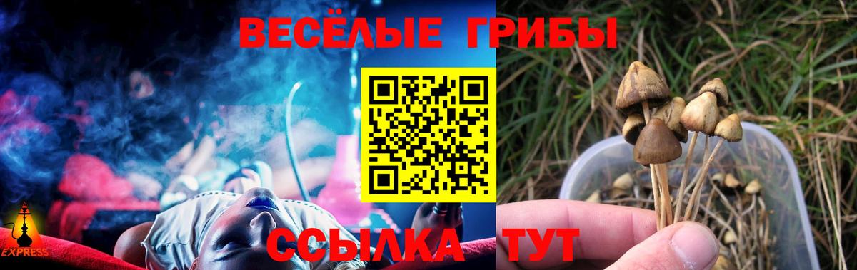 Галлюциногенные грибы мухоморы Всеволожск